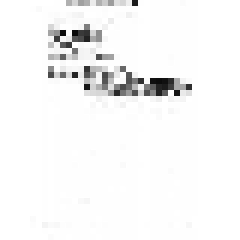 Машинописный текст песни "Полюбил меня молоденький попок"