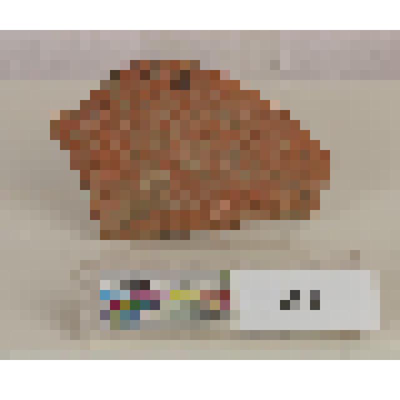 Фрагмент стенки большого красноглиняного блюда