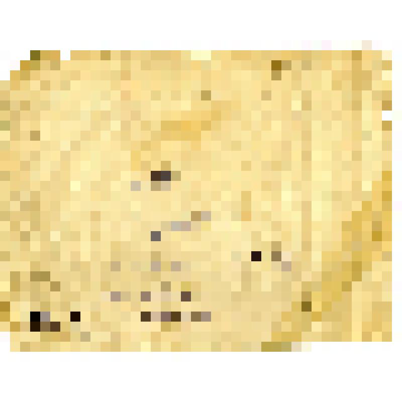 Фото (групповое). Участники производственного совещания Дюртюлинского лесхоза