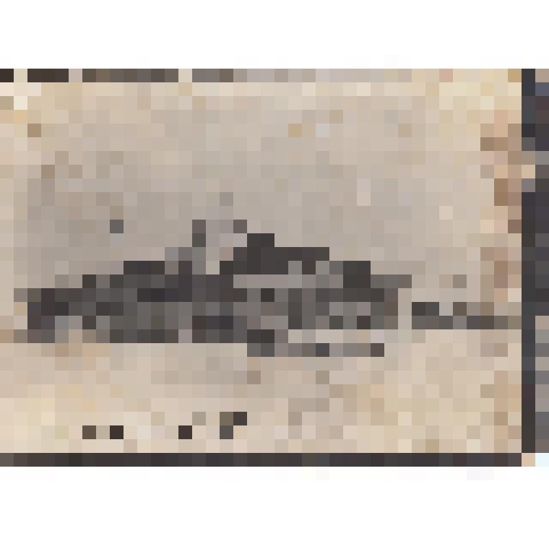 Фабрично-заводская семилетка