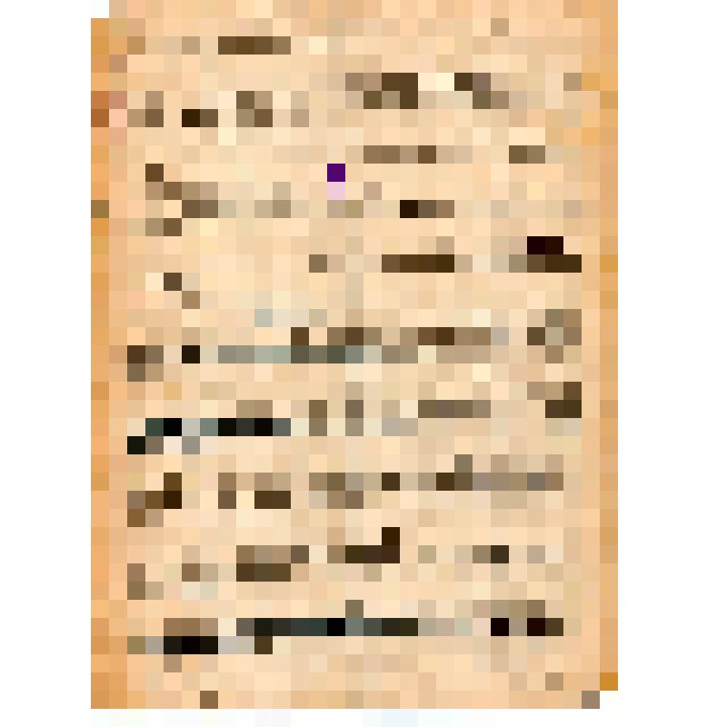 Организационный комитет студентов С.- Петербургского университета. Касса радикалов. Бюллетень N 1. К обществу и студентам