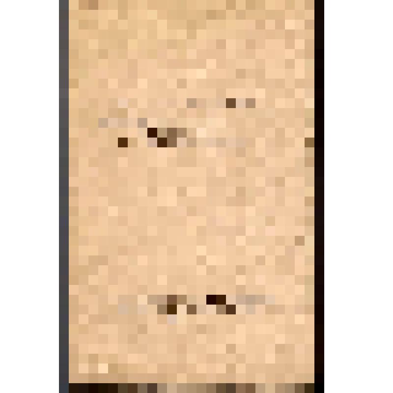 Журнал. Чтения в Императорском Обществе Истории и Древностей Российских