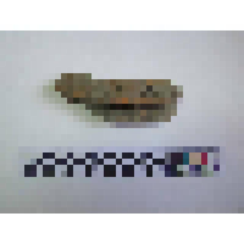 Венчик амфоры типа У-21
