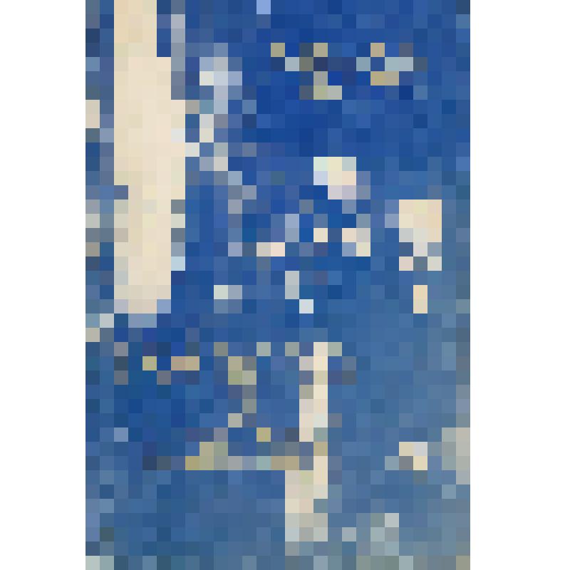 Книга. Isadora and Esenin. USA: Ardis, 1980.- 336 s. (Маквей Гордон. Айседора и Есенин. США: Издательство «Ардис», 1980.- 336 с.)