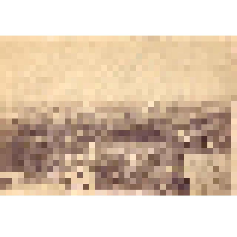 Панорама г.Тихвина