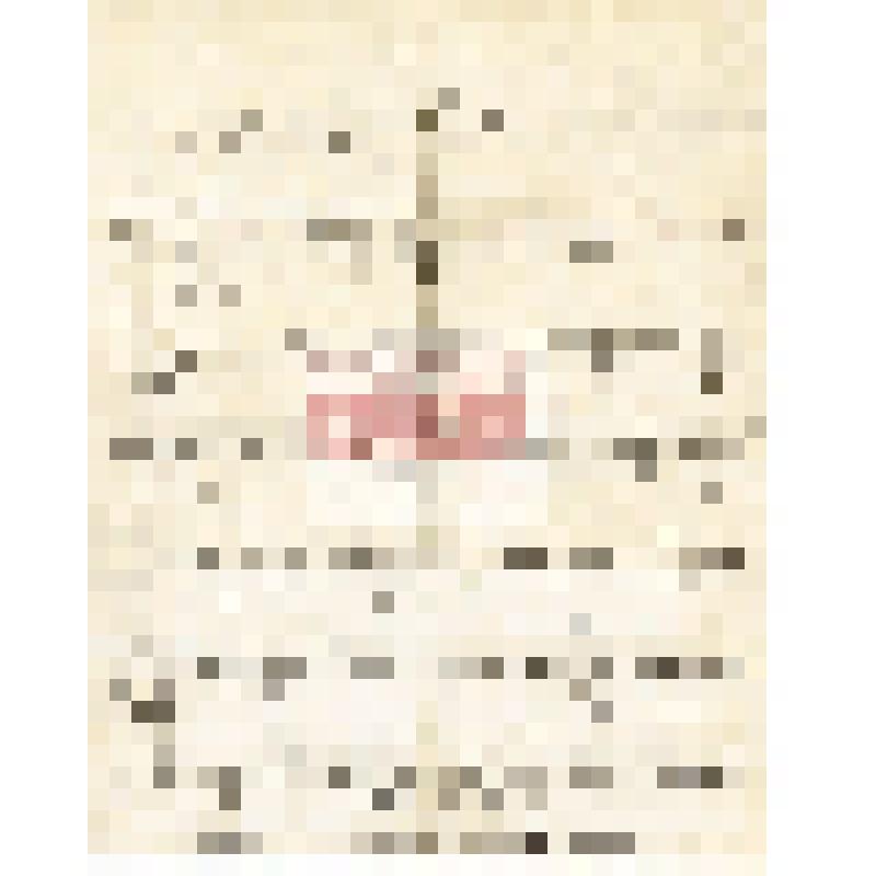 Письмо П. К. Яворовского Мартьянову с сообщением, что включённые в план работы на Изыхском месторождении каменного угля комиссия исключила, о реформах в геологии и Горном департаменте, просьбой прислать рассола из большого колодца Абаканского завода