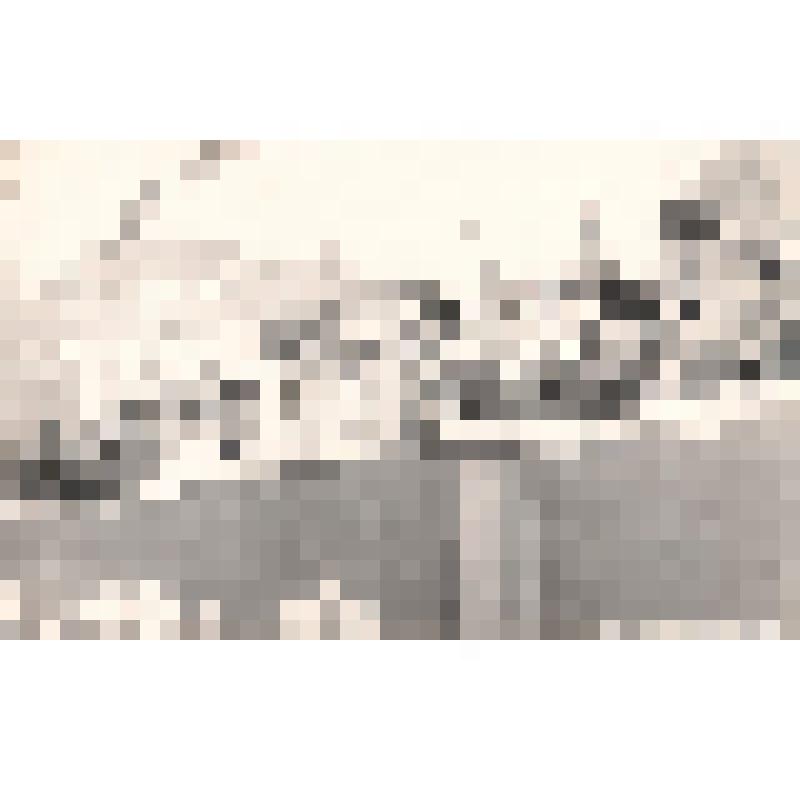 Фотография черно-белая