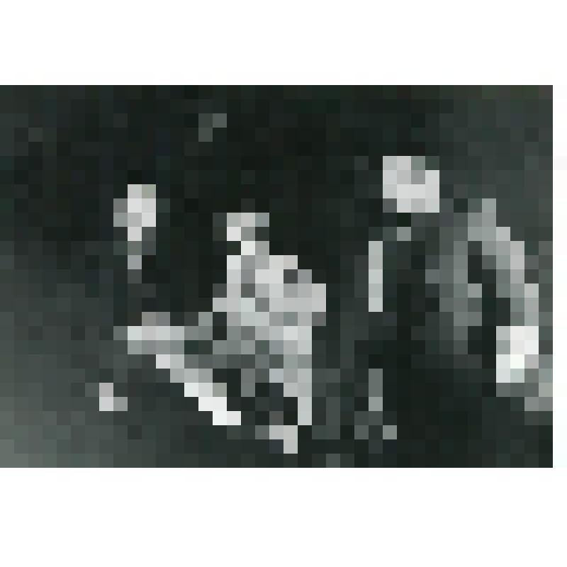 Фотография. Сцена из спектакля. "Грач - птица весенняя" (Пост. Майоров С., Бортко В. , Худ. Виноградов М.). Москва, Московский драматический театр