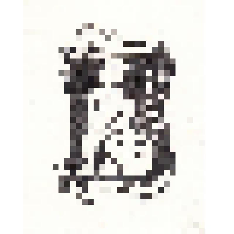 Экслибрис "Exlibris Великанова"