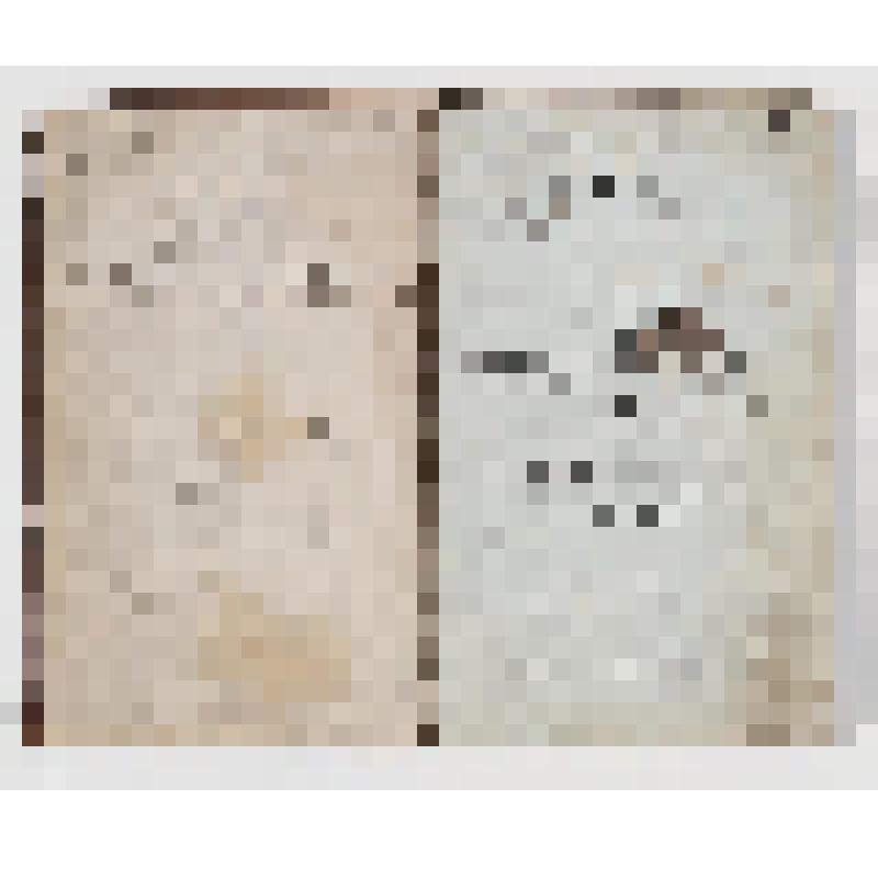 Книга. Печальному утеха, веселому забава, а праздному на безделье дело; или Новый настоящий Руской Песенник, заключающий в себе собрание лучших веселых, простонародных, военных, Малороссийских, свадебных, хороводных, сатирических, театральных, пастушеских