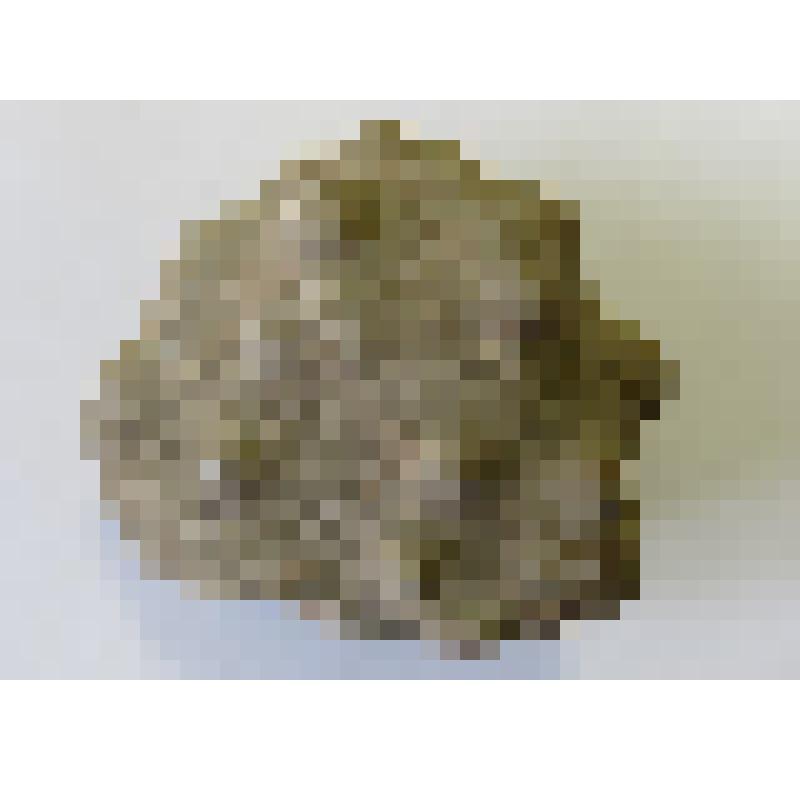 Горная порода. Песчаник известковая конкреция