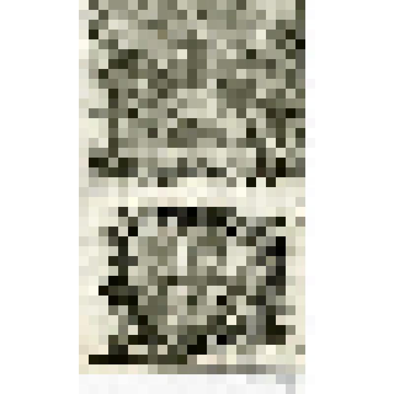 Офорт. Лист 78. Жертвоприношение в храме. Царь Соломон и все собрание Израильтян в храме (III Цар. 8)