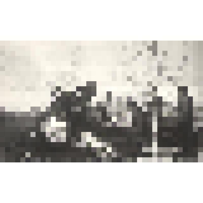 Фотонегатив "На боевой позиции."