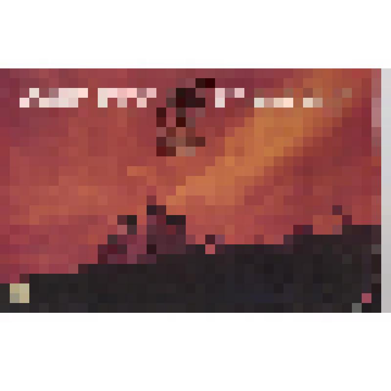 Афиша музыкального спектакля "Евпатий Коловрат" 8,9 сентября 1995 года на кремлевском валу г.Рязани(в дни празднования 900-летия г.Рязани)