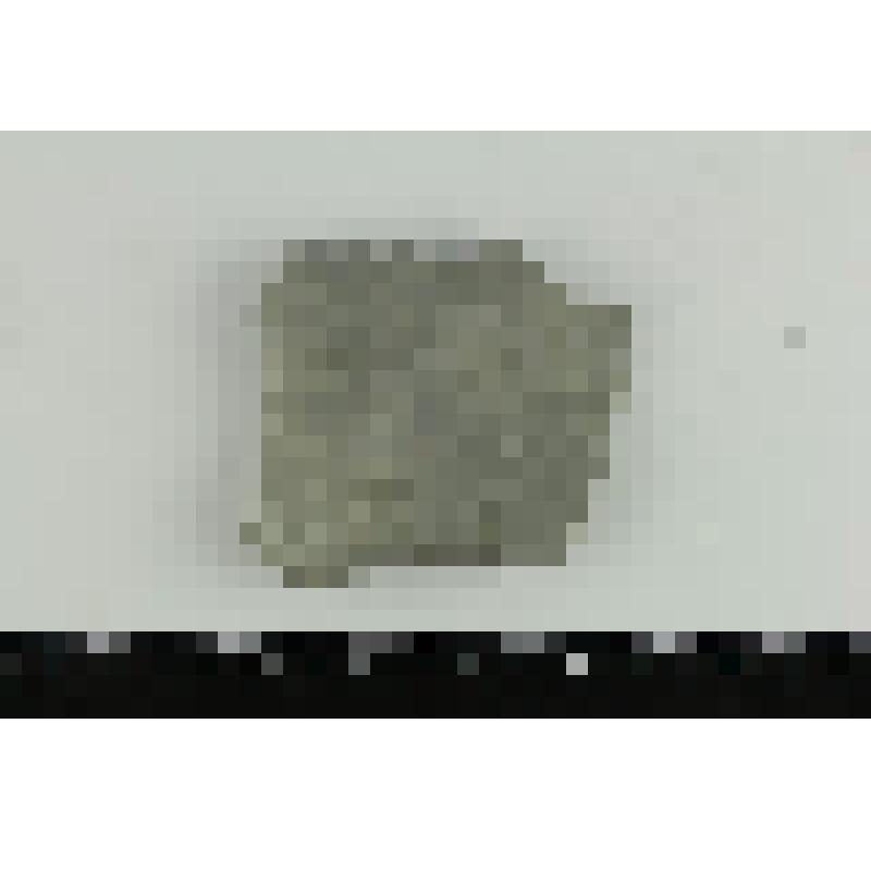 Палеонтологический образец. Отпечатки дождевых капель