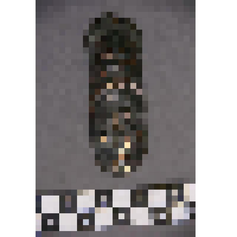 коллекция В.Ф. Лагодича. Талисман на металлической пластине, по мотивам изваяний окуневской культуры. С изображением 3-хглазого женского божества с грудями. Личина разделена на 3 части горизонтальными линиями по уровню – глаза, нос; –  рот. Между грудей р