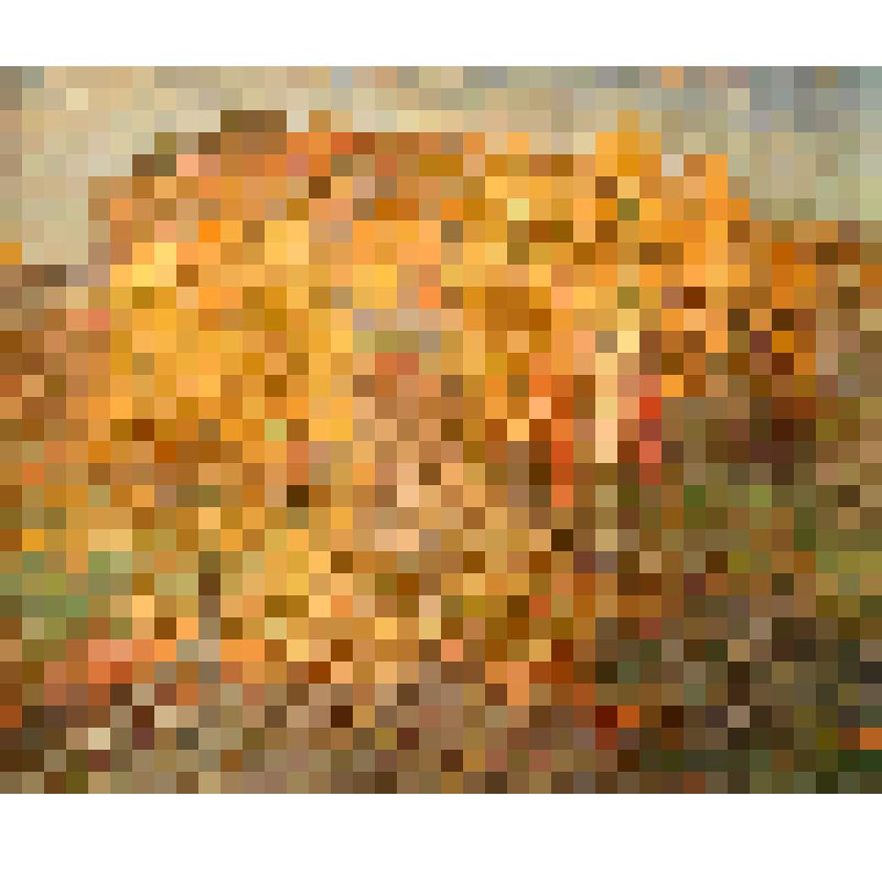 Старый мост. Осень