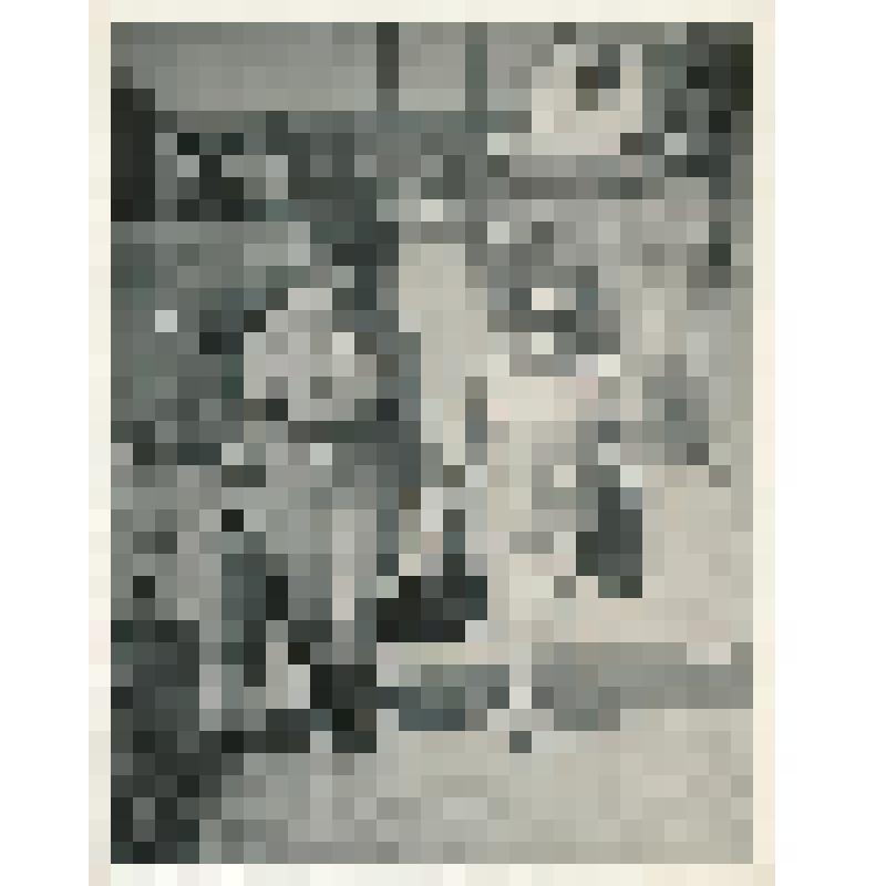 Фотография. В.Е.Хейн и М.Н.Пухта