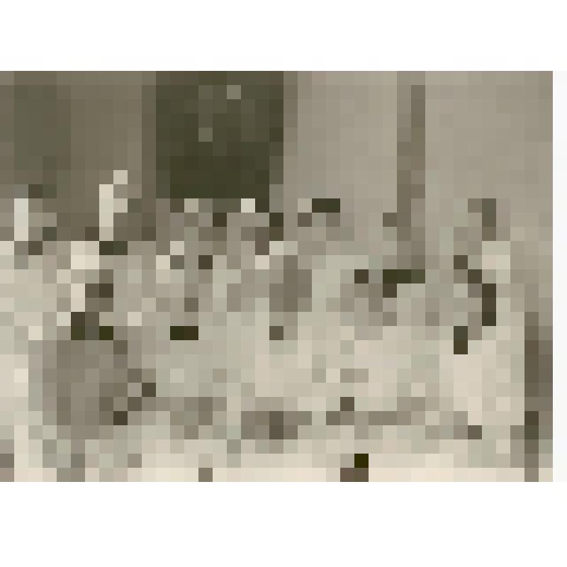 Фотография. Полущев Федор Николаевич, главный врач роддома № 5 г. Саратова, со студентами медицинского факультета Саратовского государственного университета, из коллекции материалов о Полущеве Федоре Николаевиче, враче-гинекологе, преподавателе СМИ, орган