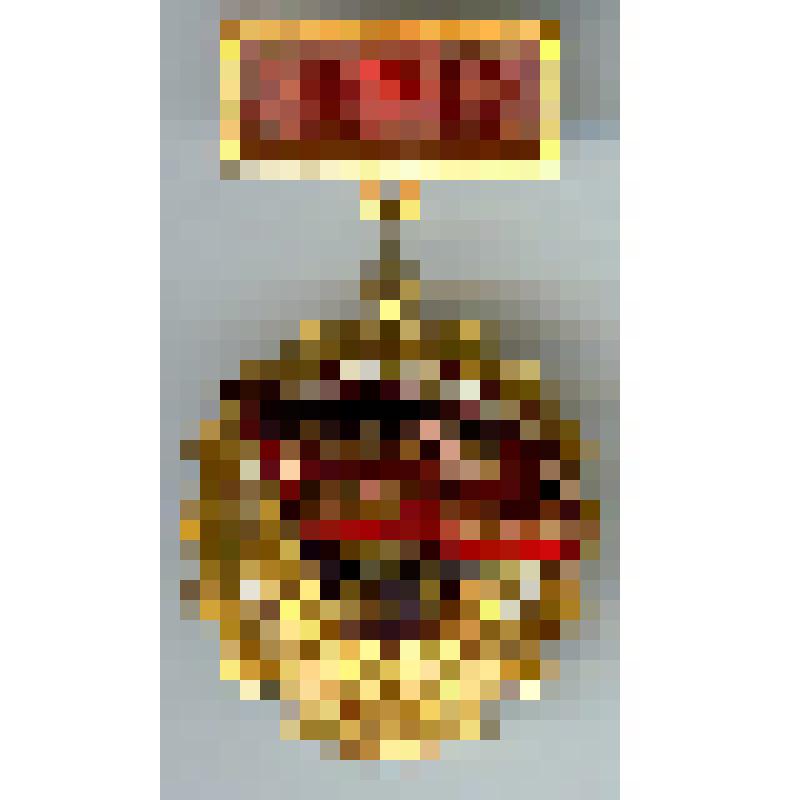 Знак нагрудный «Победитель соцсоревнования 1977 года» Радиной Веры Федоровны