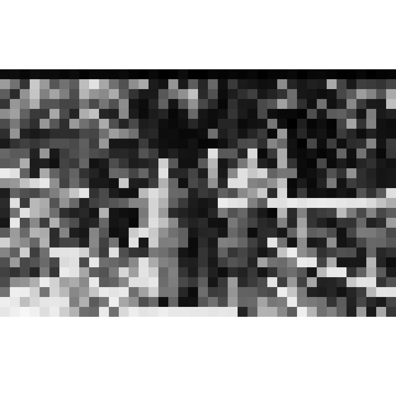 Курсы переподготовки в г.Тбилиси. Тращенко П.Ф. - крайний слева, Тращенко Л.Г. - третья слева