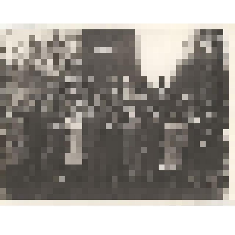 Фотография. Гребенщиковой Анна Васильевна в группе однополчан 7403 АД ПВО в Вологде