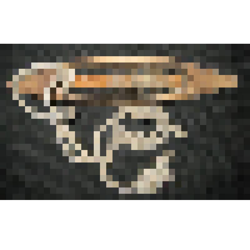 Челнок с берестой
Источник поступления: