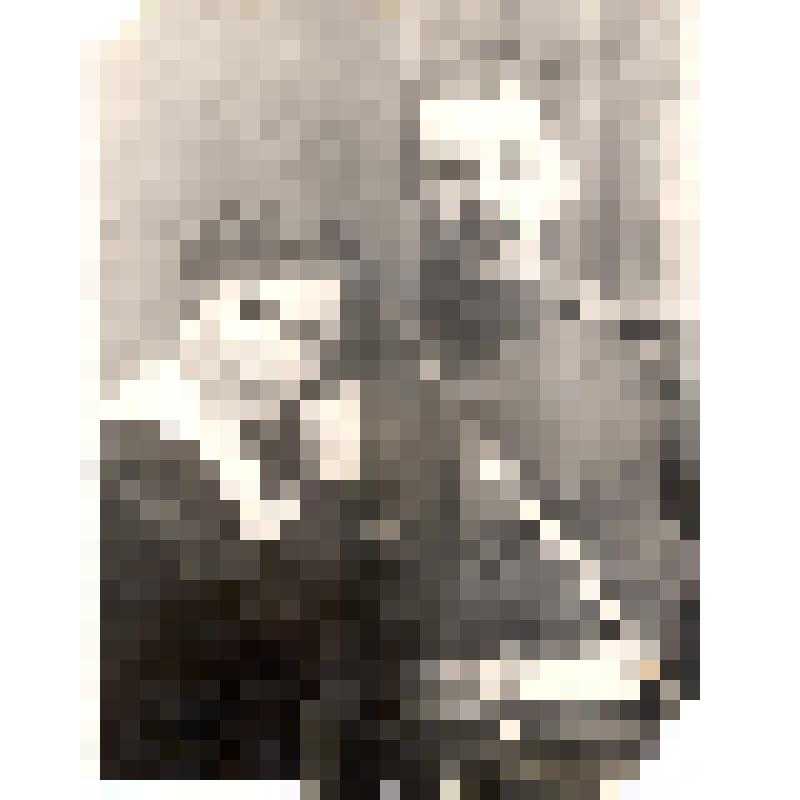 Фотография ч/б. Павлова (Загорская) А.В.  с мужем. До 1914 г