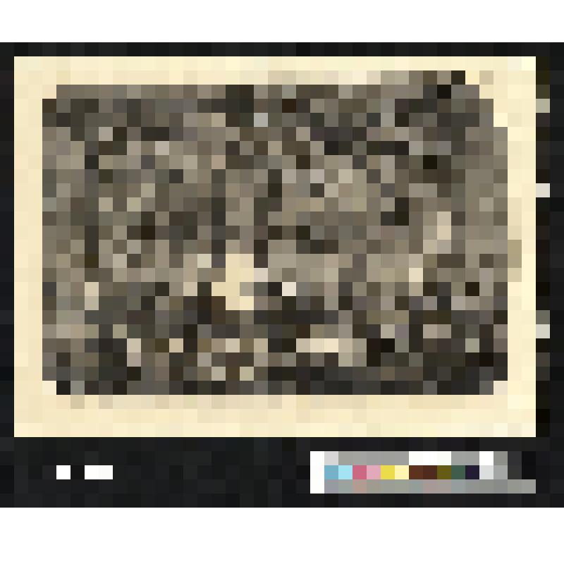 Иллюстрация из журнала "L'Illustration Journal Universel"