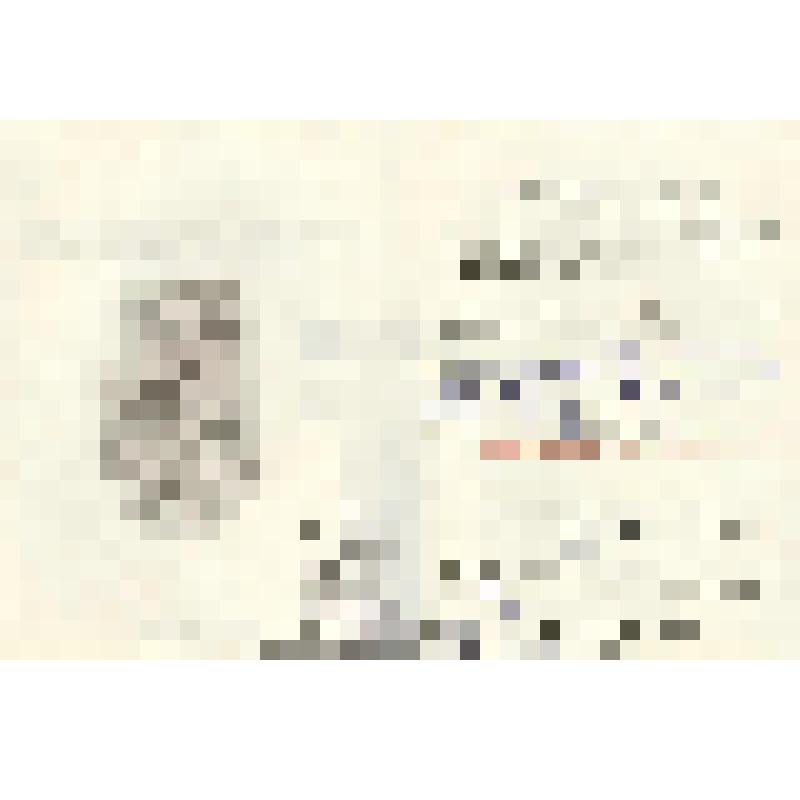 Документ. Диплом к знаку "Память Погостья"