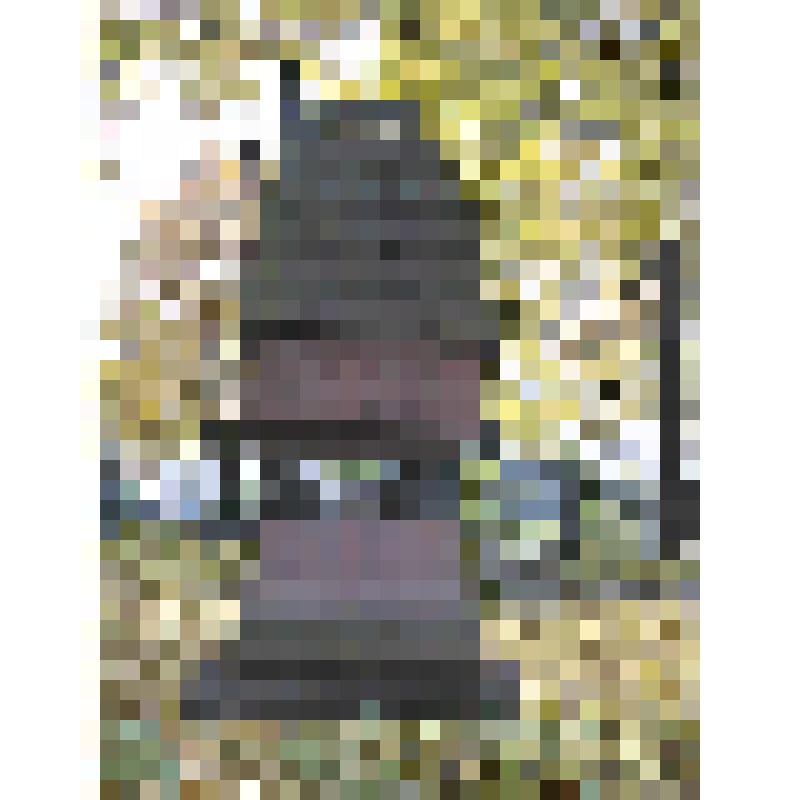 Памятник Тартакову Иоакиму Викторовичу (1860-1923). Ступенчатая пирамида с барельефным портретом и скульптурными акротериями