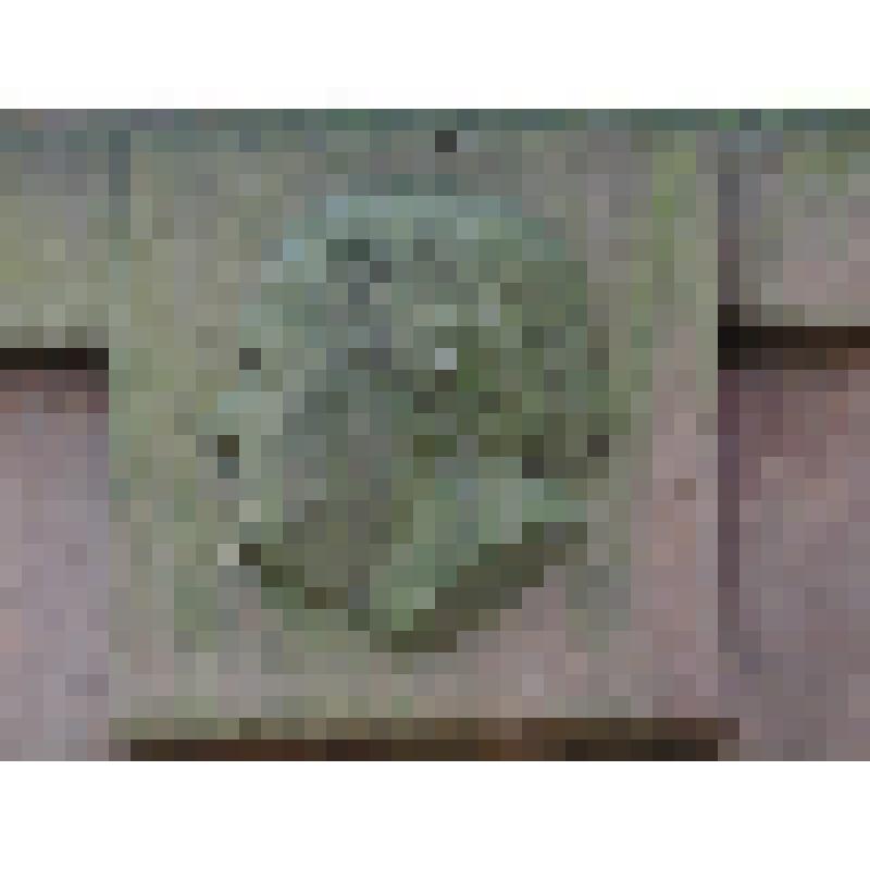 Памятник Тартакову Иоакиму Викторовичу (1860-1923). Ступенчатая пирамида с барельефным портретом и скульптурными акротериями