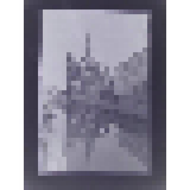 Храм Воскресения Христова ("Спас на Крови"), наб. канала Грибоедова.(Екатериниский), 26. 1883-1907 гг. Санкт-Петербург. Наб. Грибоедова. Малышев И. В.; Парланд Альфред Александрович. Храм Воскресения Христова ("Спас на крови")