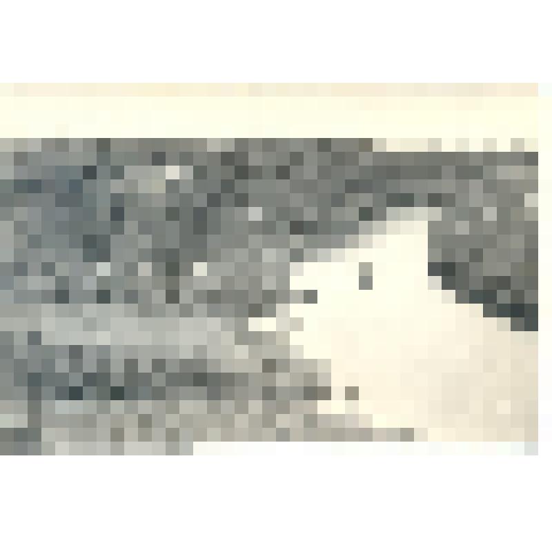 Фотография черно-белая. Начало смыва почв в результате неосмотрительной вырубки лесозащитной полосы