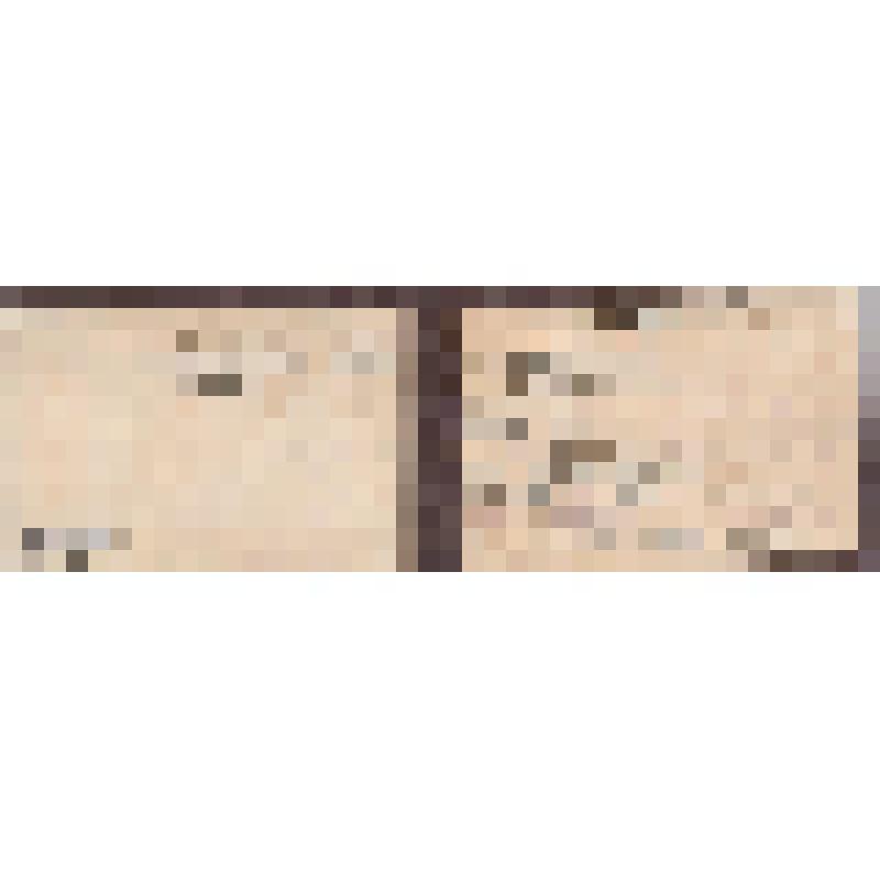 Удостоверение №215 от 5 ноября 1958г., выданное Крымским обкомом КПУ и облисполкомом Перельмутер Давида Львовича о награждении его значком "Отличник курортов Крыма"