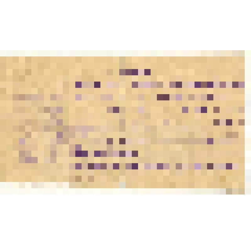 Справка. Дана Певину Николаю Алексеевичу в том, что он работал при Каменском пункте заготзерна в должности заведующего Долганской глубинки с 11 августа 1941 года по 6 августа 1947 года