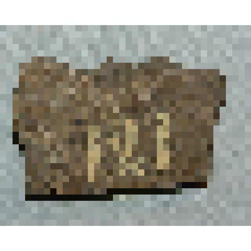 горная порода. Песчаник с отпечатками организмов