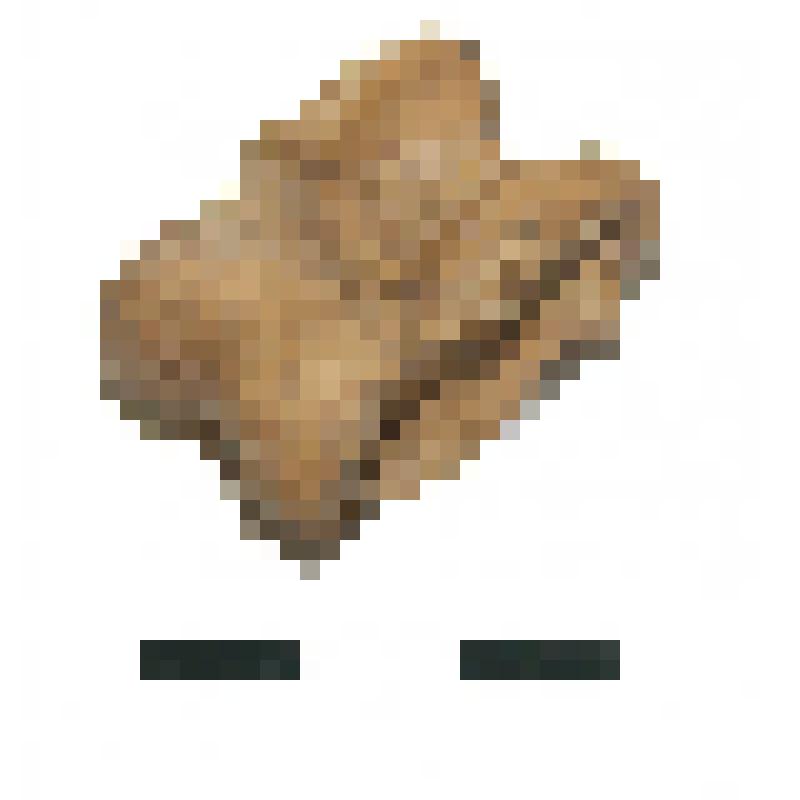 Альчик. Астрагал. Памятник Торопово-7