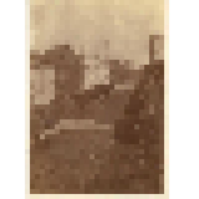 Фотография. Виды г.Петроков (Польша)