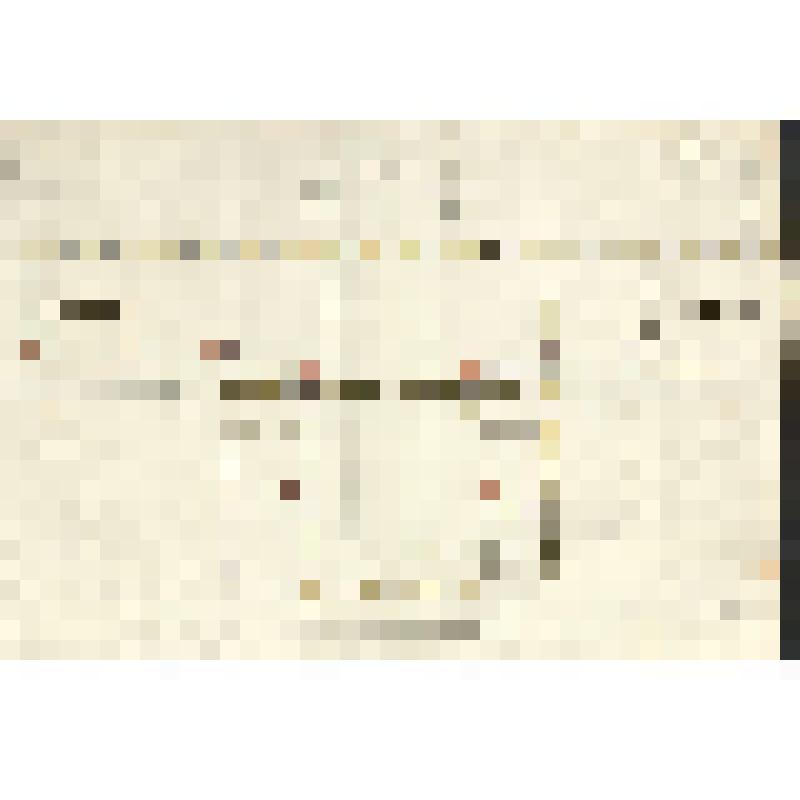 План-чертёж 1 этажа усадебного дома в Ольгово