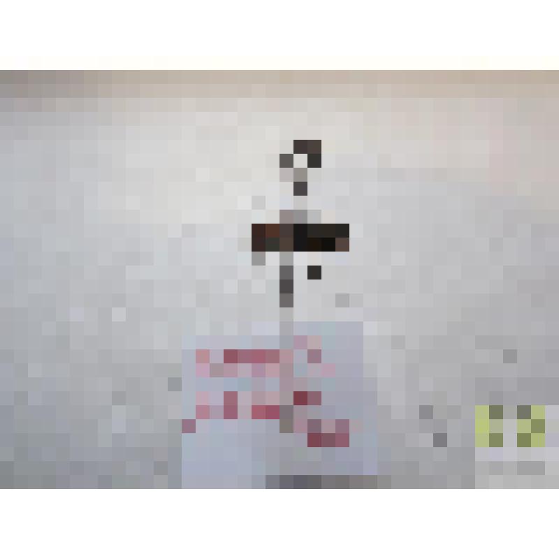 Муравьежук красноногий (Thanasimus femoralis)