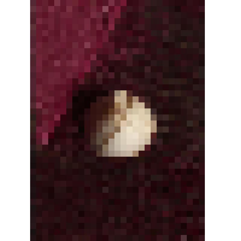 Коробка с костяными бирюльками: дегтярница