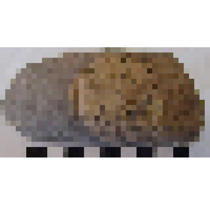 Клеймо на ручке синопской амфоры
