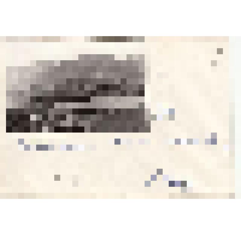 Негатив. Новороссийск. Вид на город и порт