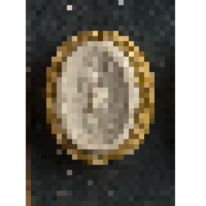 Гемма. Слепок. Юноша с мечом