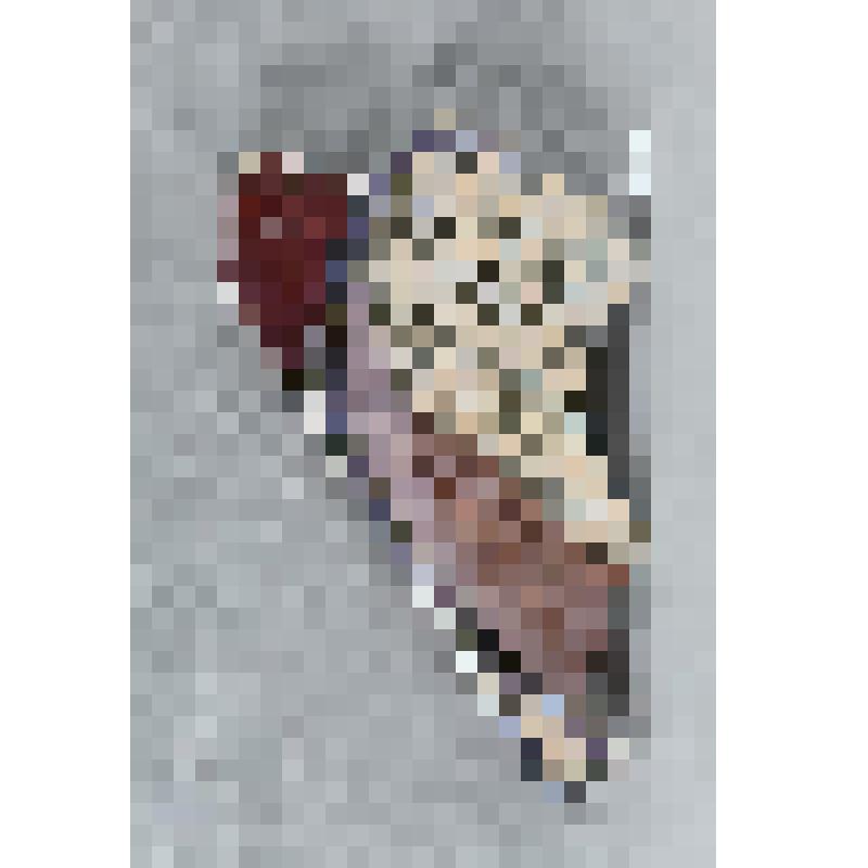 Изразец неправильной формы рельефный полихромный (левая часть панно) с изображением фрагмента крупа с хвостом лошади; цвета: бледно-розовый, светло-охристый, красно-коричневый, сиреневый. 
Камин керамический, разноцветный, по рис. худ. Врубеля на тему "Ми