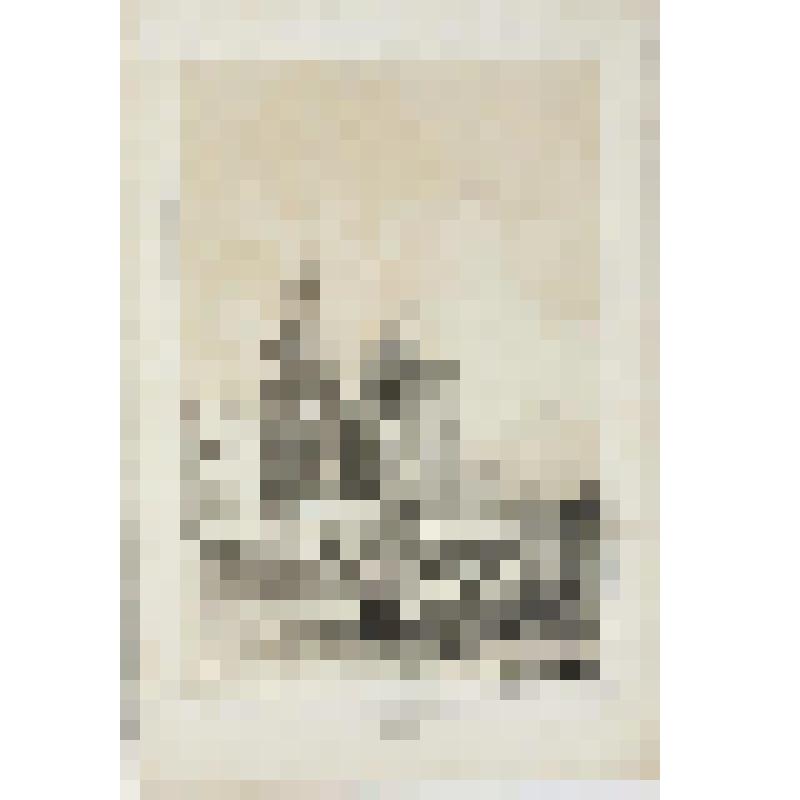 Литография. "Москва. Успенский собор на Покровке."