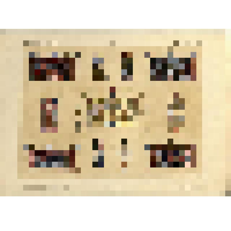 Лист LXXXI (81). Русский орнамент XVI в. Из альбома «История русского орнамента. С X по XVI столетие. По древним рукописям»