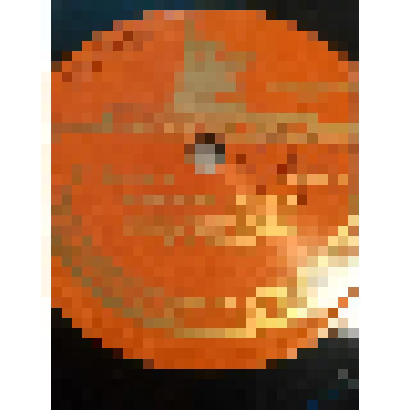 Грампластинка. Рассказ Деда Щукаря из романа М. Шолохова "Поднятая целина" (начало и продолжение 1). Исполняет Д. Орлов. "Поднятая целина"