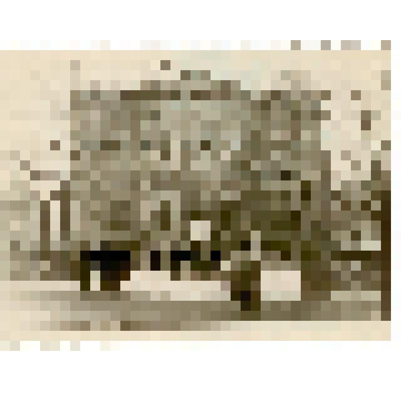 Фотография. Саратов. Художественный музей им. А.Н. Радищева